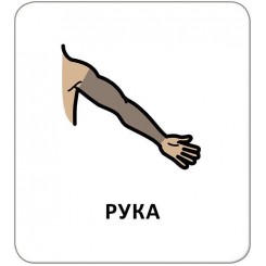 Карточки с пиктограммами Гигиена, Мое тело