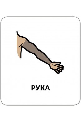  Картки з піктограмами Гігієна, Моє тіло