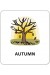 Картки з піктограмами Природні явища. Пори року Картки з піктограмами Природні явища. Пори року