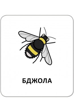  Картки з піктограмами Тварини